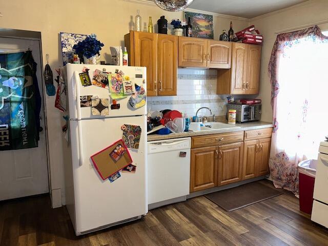 kitchen featuring dark hardwood / wood-style floors, sink, backsplash, and white appliances