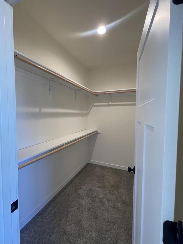 walk in closet featuring dark carpet