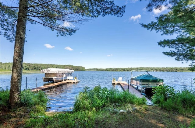 dock area featuring a water view