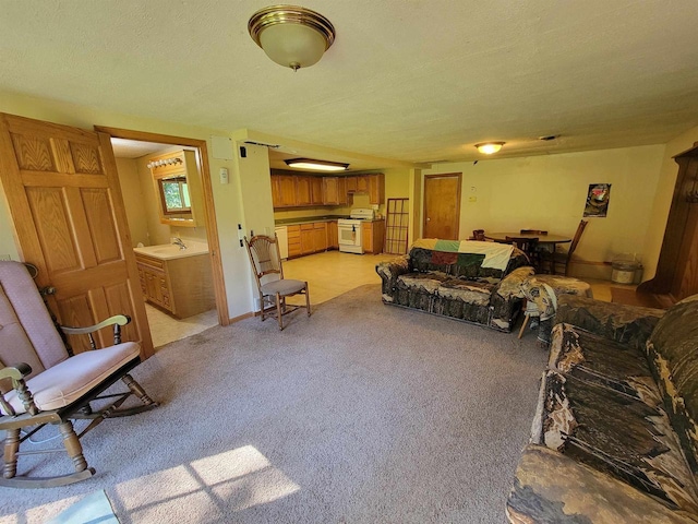 carpeted living room with sink and a textured ceiling