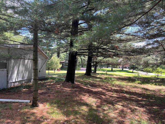 2217 Blackhawk St, Friendship, WI 53934 - view of yard