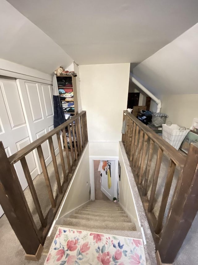 stairway featuring carpet and vaulted ceiling