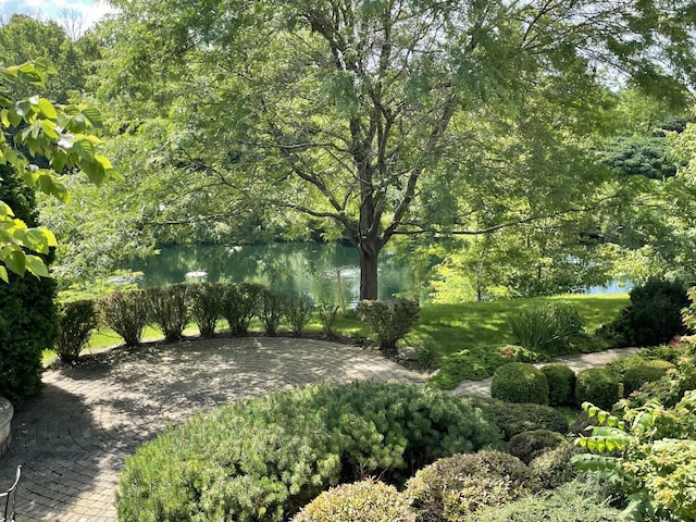 view of yard featuring a water view