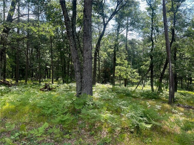 LOT207 Deerpath Ter, Danbury, WI 54830