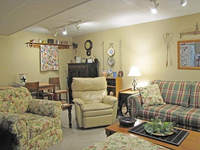 living room featuring light carpet and track lighting