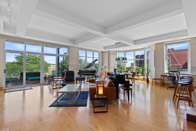 living room with floor to ceiling windows, light hardwood / wood-style flooring, rail lighting, and plenty of natural light