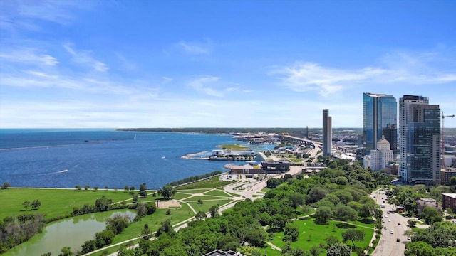 drone / aerial view with a water view