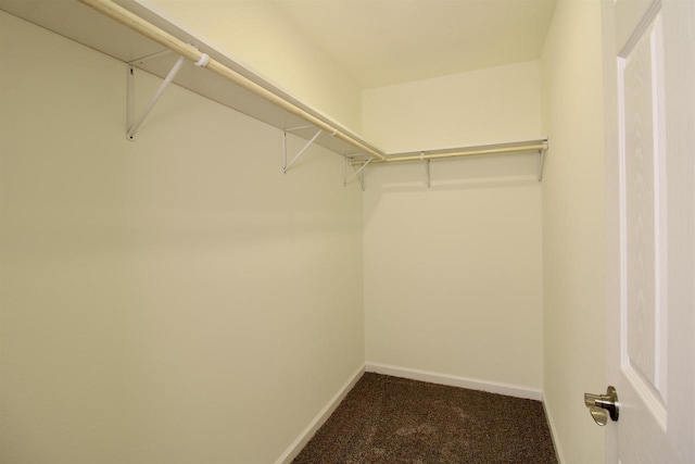 spacious closet with carpet floors