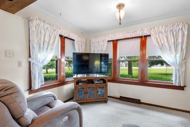 living room with carpet floors and a wealth of natural light