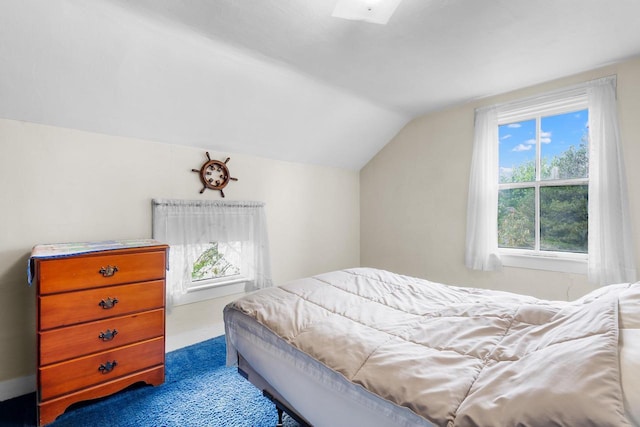 bedroom with lofted ceiling