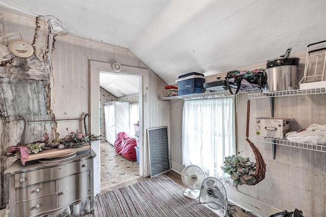 laundry area with a wealth of natural light