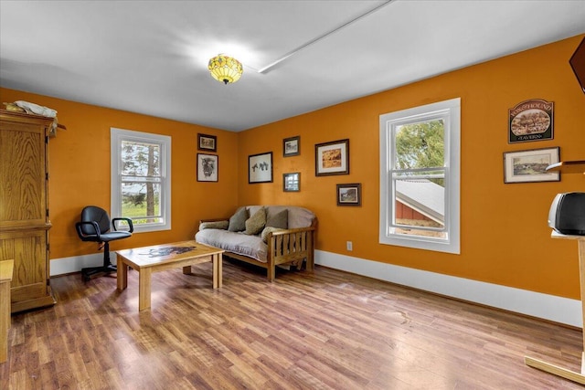 living area featuring light hardwood / wood-style floors