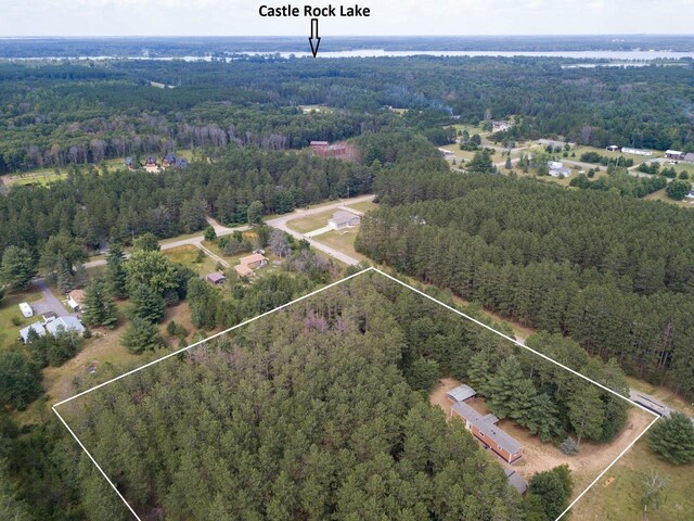 N9351 Juneau Ln, Necedah, WI 54646 - drone / aerial view