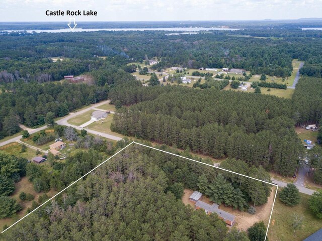 N9351 Juneau Ln, Necedah, WI 54646 - bird's eye view