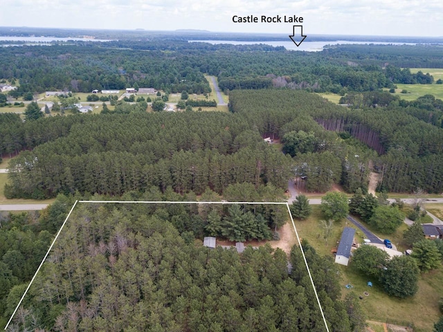 N9351 Juneau Ln, Necedah, WI 54646 - birds eye view of property