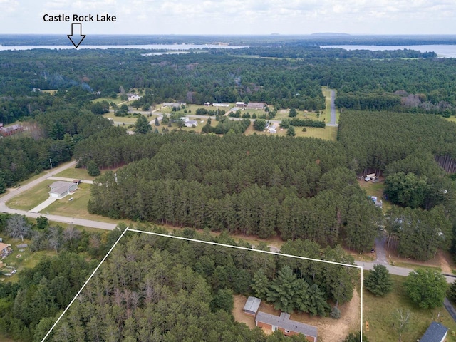 N9351 Juneau Ln, Necedah, WI 54646 - drone / aerial view featuring a water view