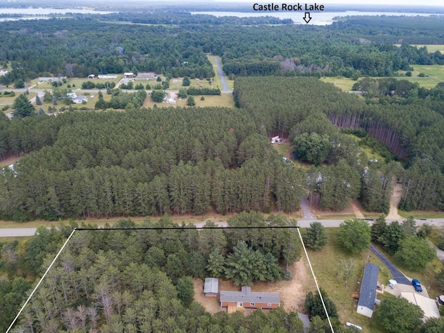 N9351 Juneau Ln, Necedah, WI 54646 - birds eye view of property