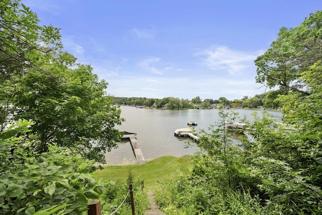 water view with a boat dock