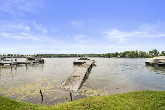 dock area with a water view