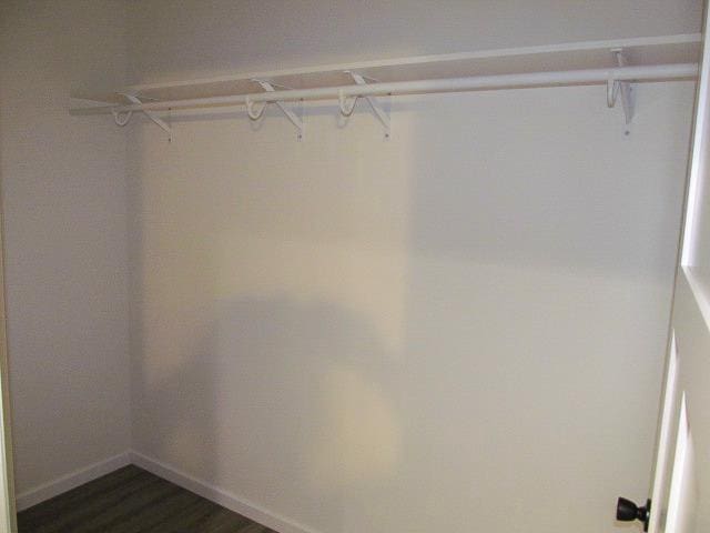 walk in closet with dark wood-type flooring