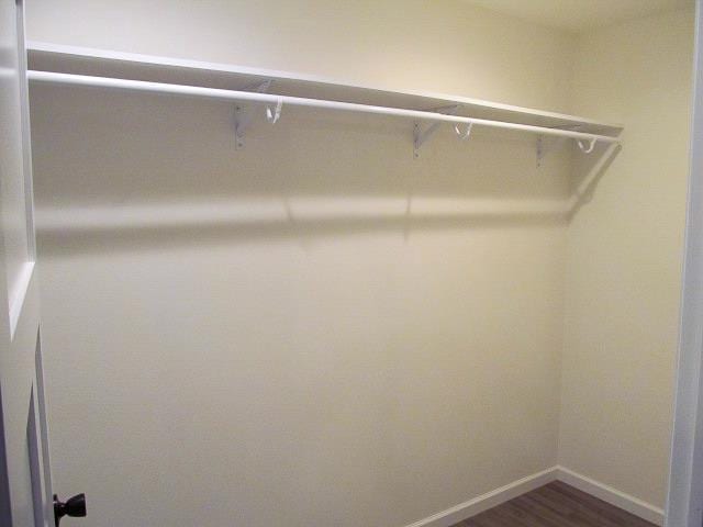 walk in closet featuring dark hardwood / wood-style flooring