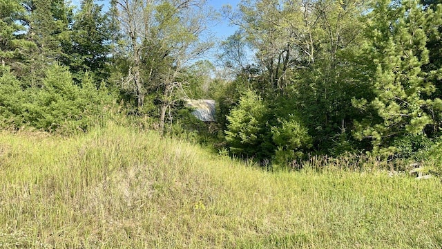 Boat Landing 3 Rd, Crivitz WI, 54114 land for sale