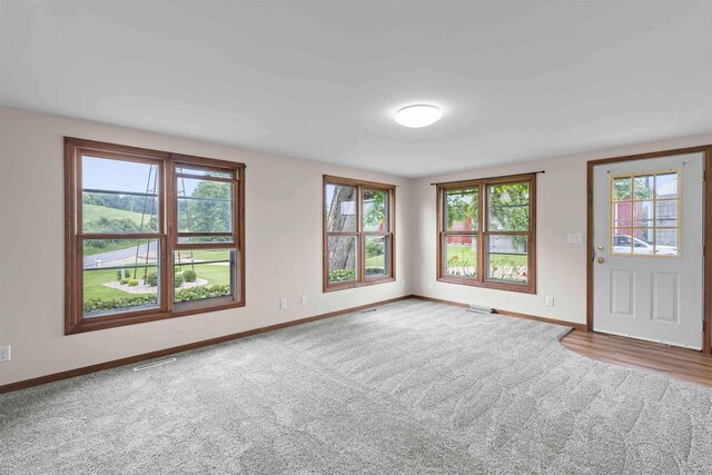 carpeted empty room featuring a healthy amount of sunlight