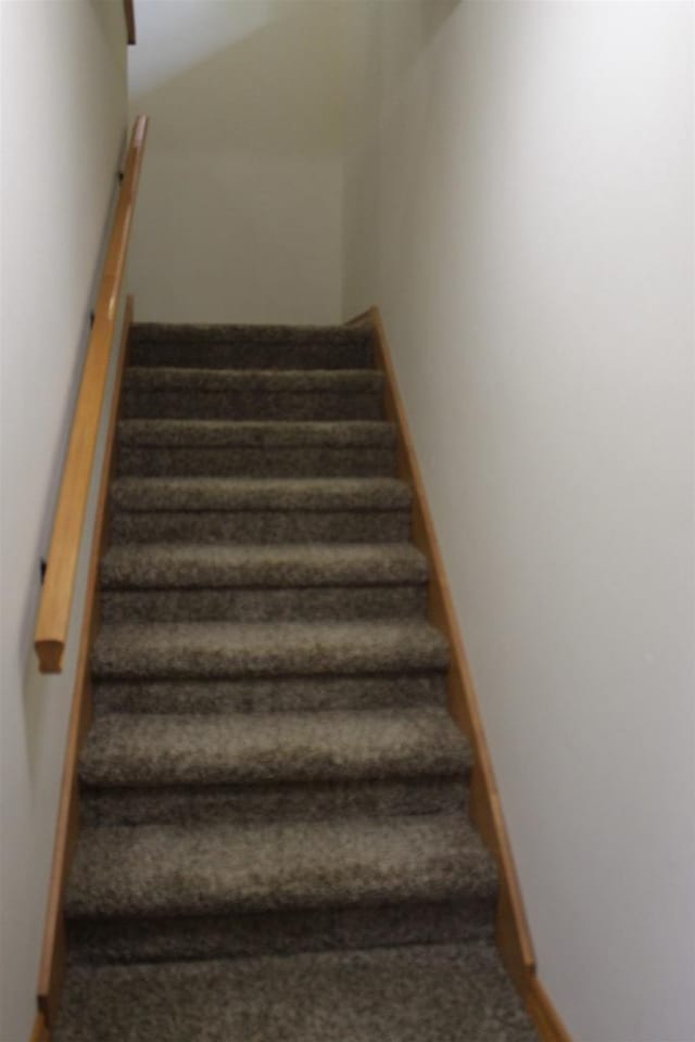 stairway with carpet flooring