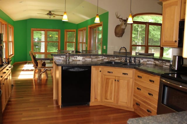 kitchen featuring tasteful backsplash, vaulted ceiling, dishwasher, dark hardwood / wood-style floors, and sink