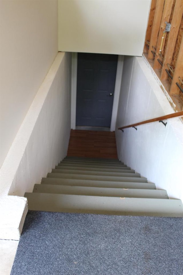 staircase with carpet floors