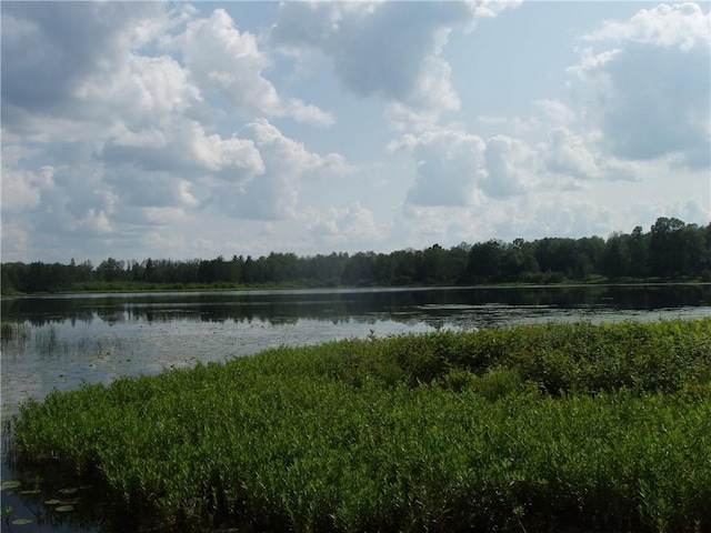 view of water feature