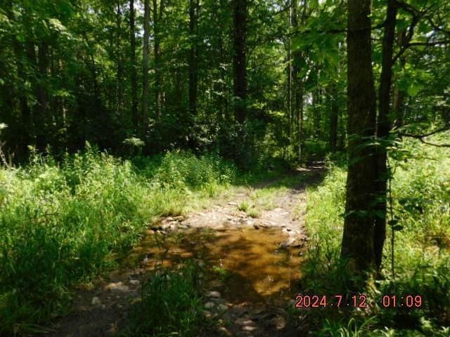 Listing photo 2 for LOT1 County Highway F, New Auburn WI 54757