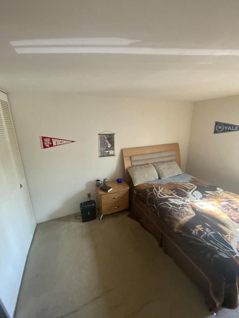 unfurnished bedroom with a closet and carpet