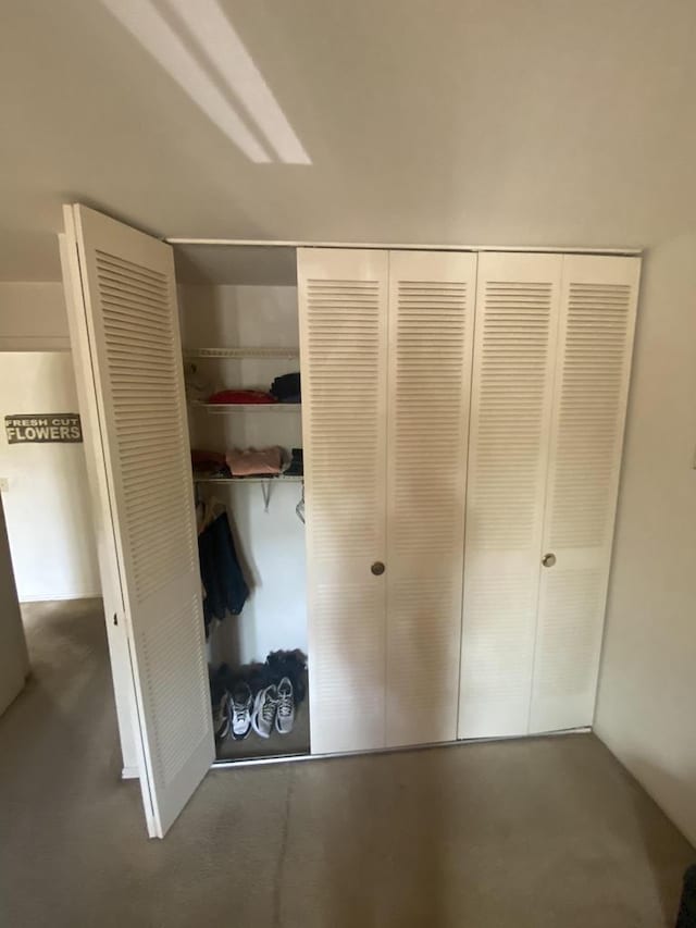 view of closet