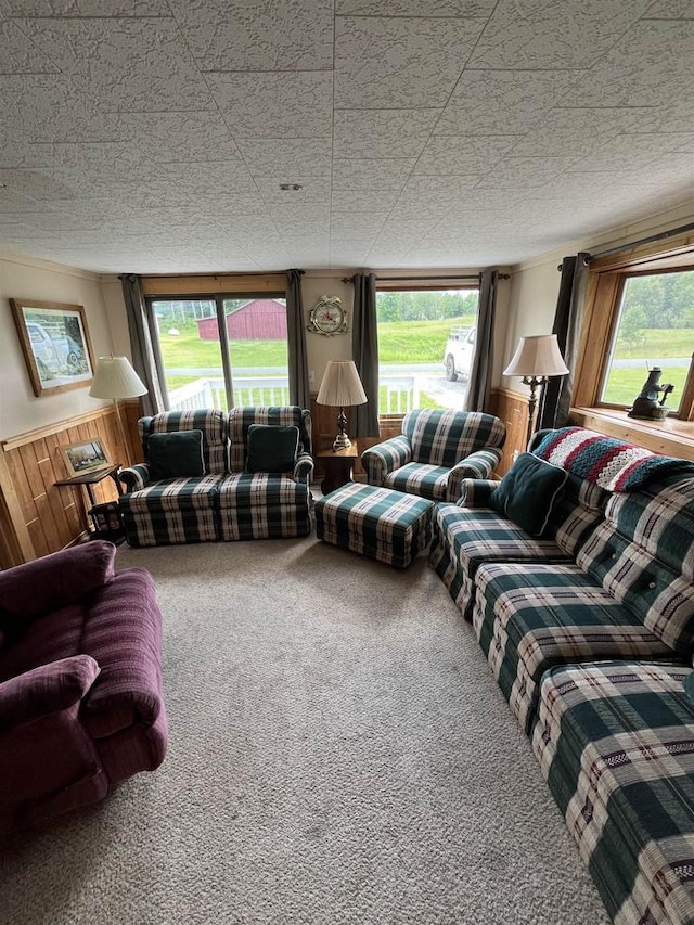 living room with carpet and wood walls