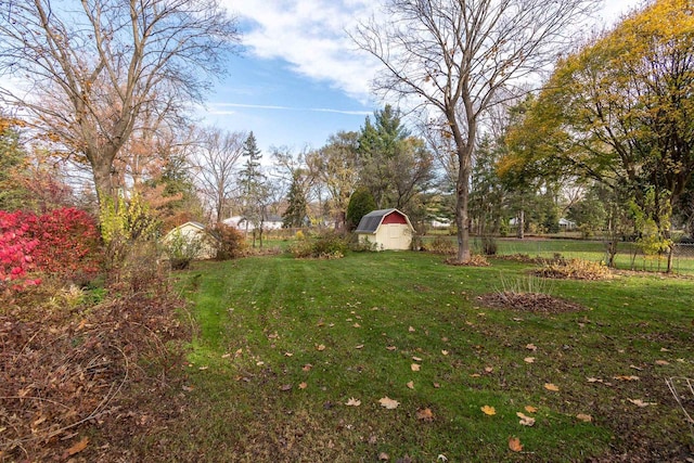 view of yard featuring a storage shed