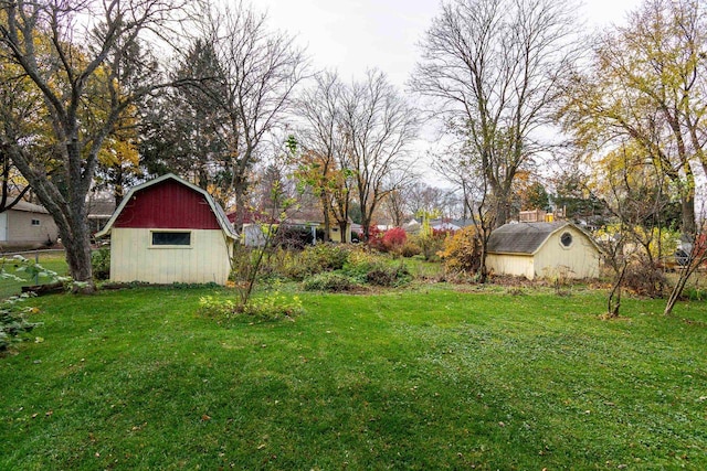 view of yard featuring a shed