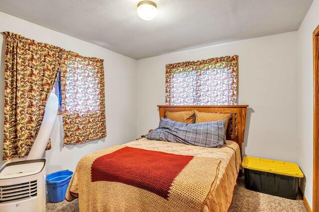 bedroom featuring carpet floors