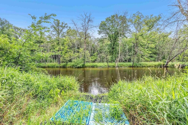 view of water feature