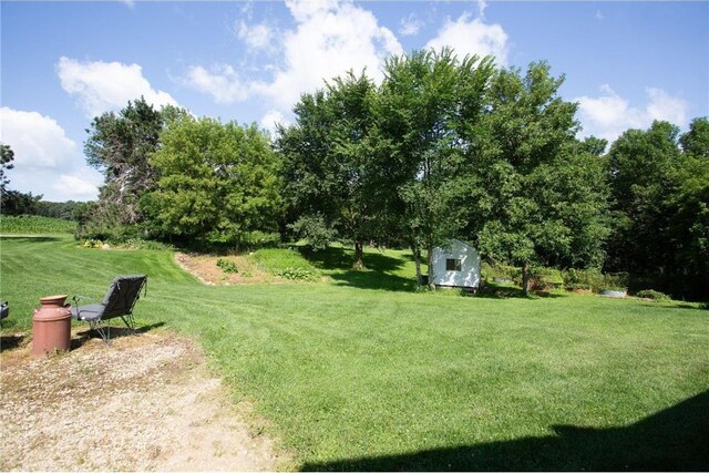 view of yard with a shed