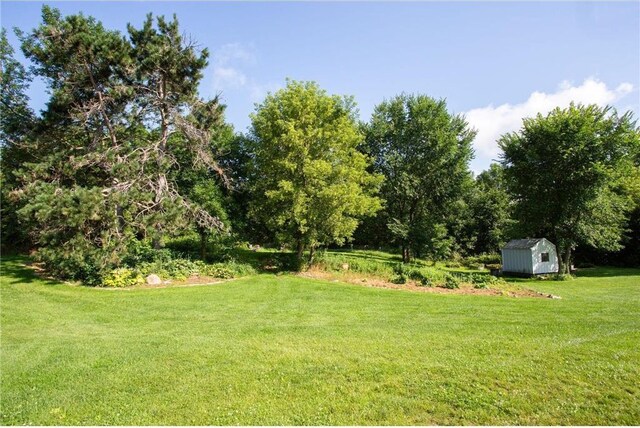 view of yard with a shed