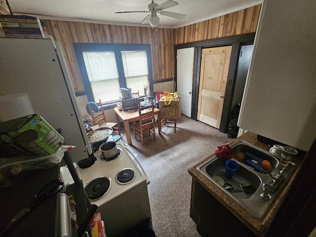 interior space featuring ceiling fan, carpet, and wood walls