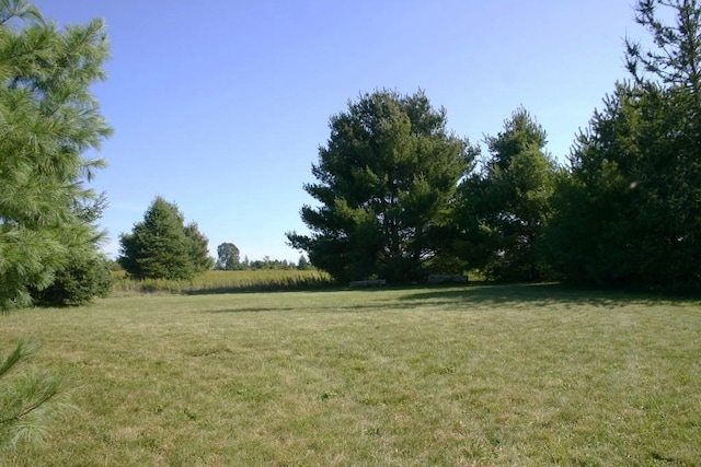 view of yard featuring a rural view