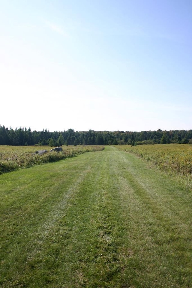 view of yard with a rural view