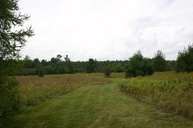 view of local wilderness with a rural view