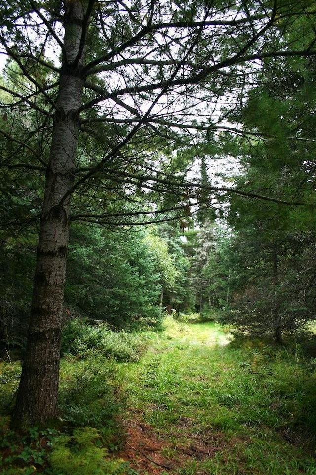 view of landscape