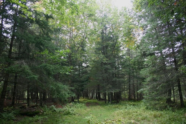 view of landscape