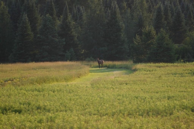 view of nature