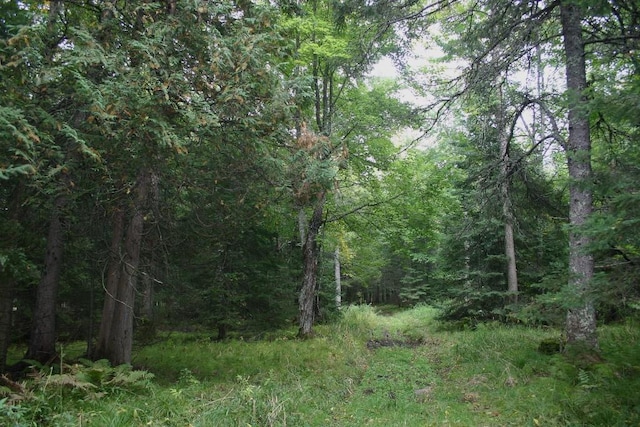 view of landscape