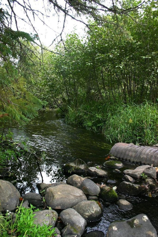 view of local wilderness